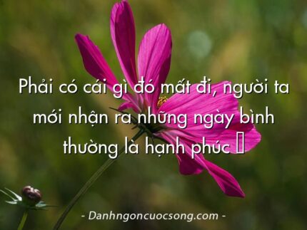 Phải có cái gì đó mất đi, người ta mới nhận ra những ngày bình thường là hạnh phúc ♥