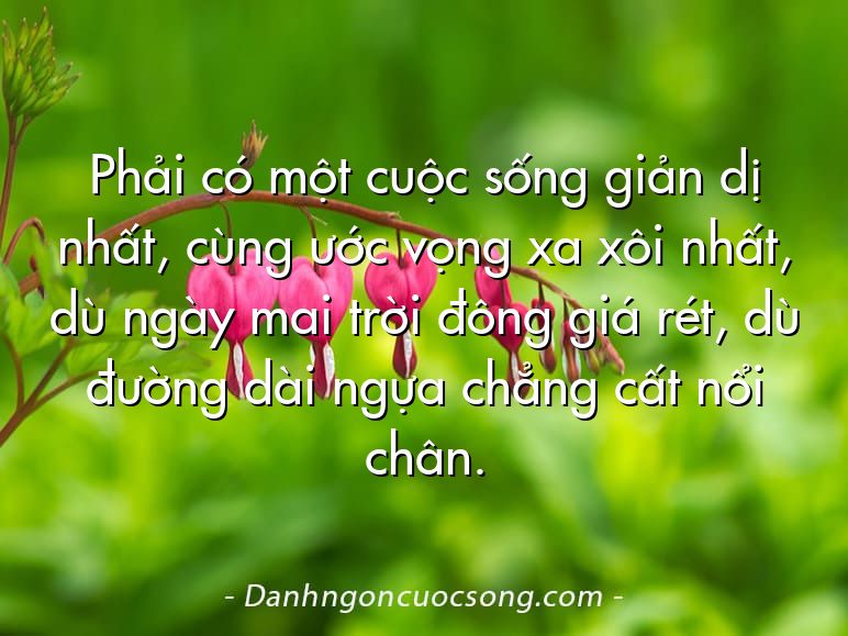 Phải có một cuộc sống giản dị nhất, cùng ước vọng xa xôi nhất, dù ngày mai trời đông giá rét, dù đường dài ngựa chẳng cất nổi chân.