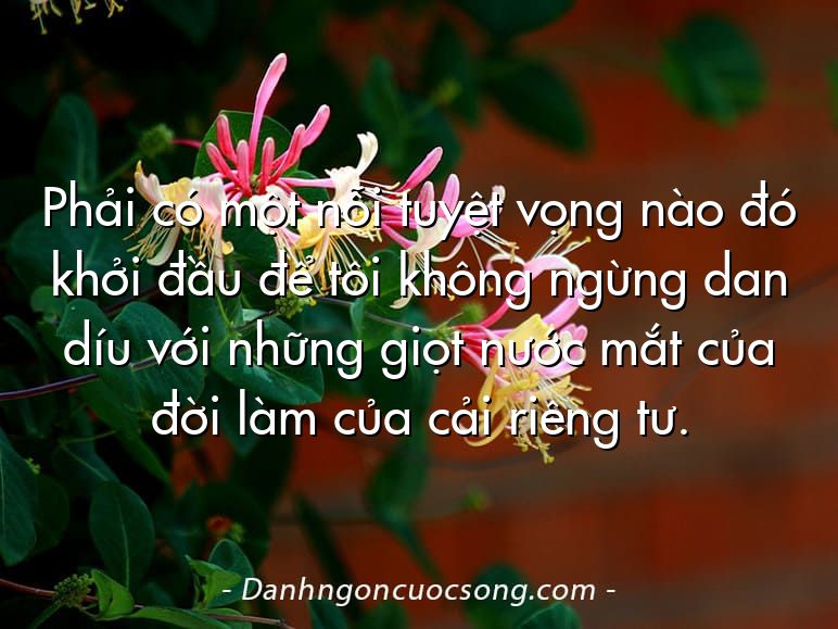 Phải có một nỗi tuyệt vọng nào đó khởi đầu để tôi không ngừng dan díu với những giọt nước mắt của đời làm của cải riêng tư.