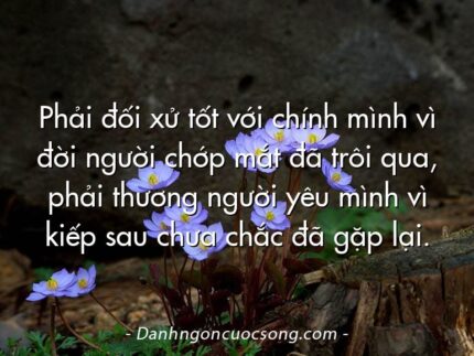Phải đối xử tốt với chính mình vì đời người chớp mắt đã trôi qua, phải thương người yêu mình vì kiếp sau chưa chắc đã gặp lại.