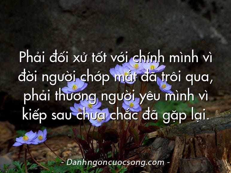 Phải đối xử tốt với chính mình vì đời người chớp mắt đã trôi qua, phải thương người yêu mình vì kiếp sau chưa chắc đã gặp lại.