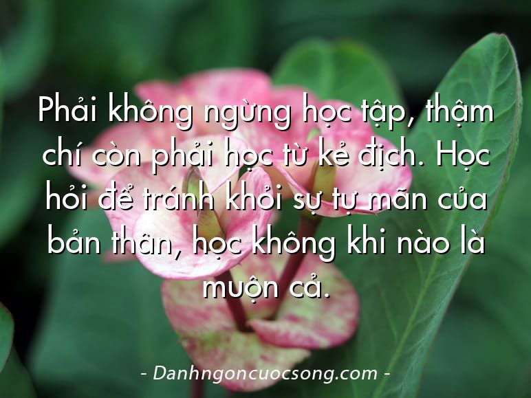 Phải không ngừng học tập, thậm chí còn phải học từ kẻ địch. Học hỏi để tránh khỏi sự tự mãn của bản thân, học không khi nào là muộn cả.