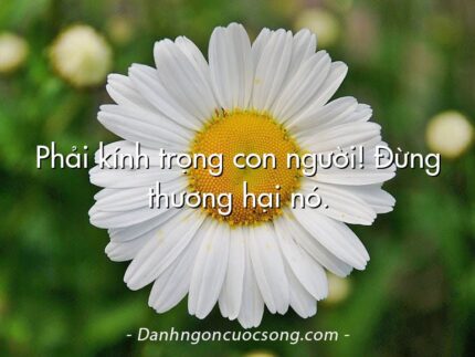 Phải kính trọng con người! Đừng thương hại nó.