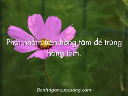 Phải nhắm trên hồng tâm để trúng hồng tâm.
