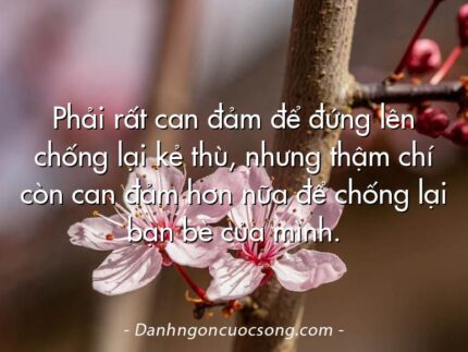 Phải rất can đảm để đứng lên chống lại kẻ thù, nhưng thậm chí còn can đảm hơn nữa để chống lại bạn bè của mình.