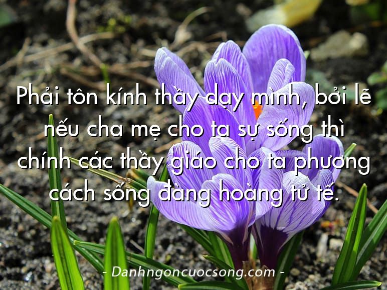 Phải tôn kính thầy dạy mình, bởi lẽ nếu cha mẹ cho ta sự sống thì chính các thầy giáo cho ta phương cách sống đàng hoàng tử tế.