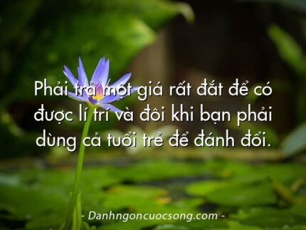 Phải trả một giá rất đắt để có được lí trí và đôi khi bạn phải dùng cả tuổi trẻ để đánh đổi.