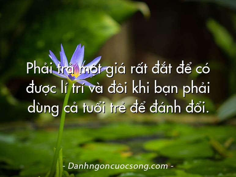 Phải trả một giá rất đắt để có được lí trí và đôi khi bạn phải dùng cả tuổi trẻ để đánh đổi.