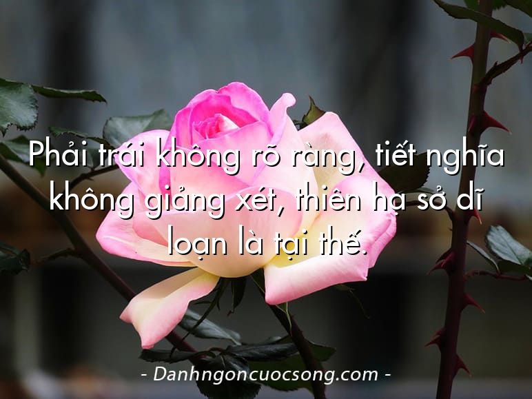 Phải trái không rõ ràng, tiết nghĩa không giảng xét, thiên hạ sở dĩ loạn là tại thế.