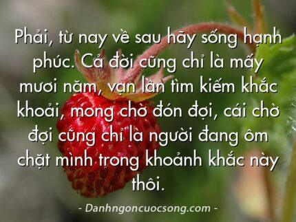 Phải, từ nay về sau hãy sống hạnh phúc. Cả đời cũng chỉ là mấy mươi năm, vạn lần tìm kiếm khắc khoải, mong chờ đón đợi, cái chờ đợi cũng chỉ là người đang ôm chặt mình trong khoảnh khắc này thôi.