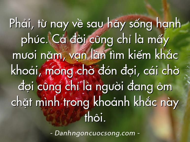 Phải, từ nay về sau hãy sống hạnh phúc. Cả đời cũng chỉ là mấy mươi năm, vạn lần tìm kiếm khắc khoải, mong chờ đón đợi, cái chờ đợi cũng chỉ là người đang ôm chặt mình trong khoảnh khắc này thôi.