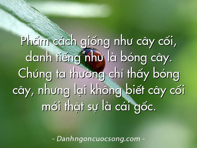 Phẩm cách giống như cây cối, danh tiếng như là bóng cây. Chúng ta thường chỉ thấy bóng cây, nhưng lại không biết cây cối mới thật sự là cái gốc.
