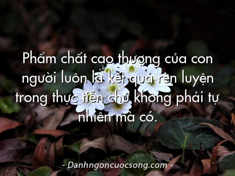 Phẩm chất cao thượng của con người luôn là kết quả rèn luyện trong thực tiễn chứ không phải tự nhiên mà có.