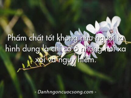 Phẩm chất tốt không như người ta hình dung là chỉ có ở những nơi xa xôi và nguy hiểm.