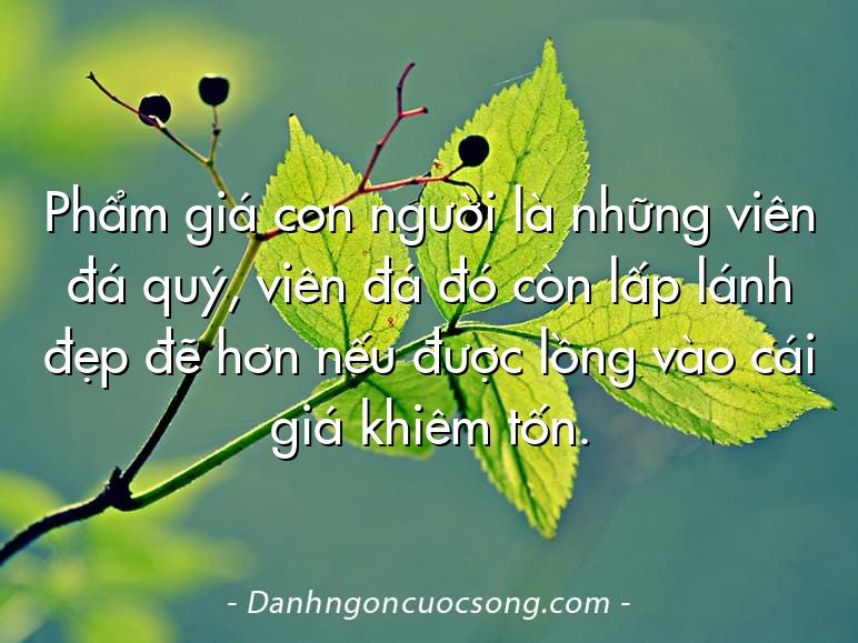 Phẩm giá con người là những viên đá quý, viên đá đó còn lấp lánh đẹp đẽ hơn nếu được lồng vào cái giá khiêm tốn.