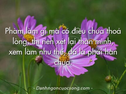 Phàm làm gì mà có điều chưa thoả lòng, thì nên xét lại thân mình, xem làm như thế, đã là phải hẳn chưa.