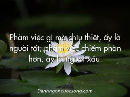 Phàm việc gì mà chịu thiệt, ấy là người tốt; phàm việc chiếm phần hơn, ấy là người xấu.