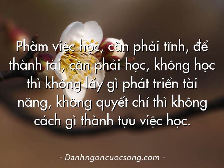 Phàm việc học, cần phải tĩnh, để thành tài, cần phải học, không học thì không lấy gì phát triển tài năng, không quyết chí thì không cách gì thành tựu việc học.