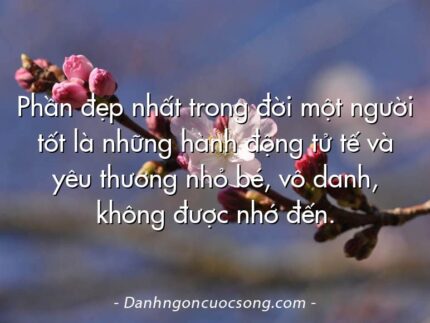 Phần đẹp nhất trong đời một người tốt là những hành động tử tế và yêu thương nhỏ bé, vô danh, không được nhớ đến.