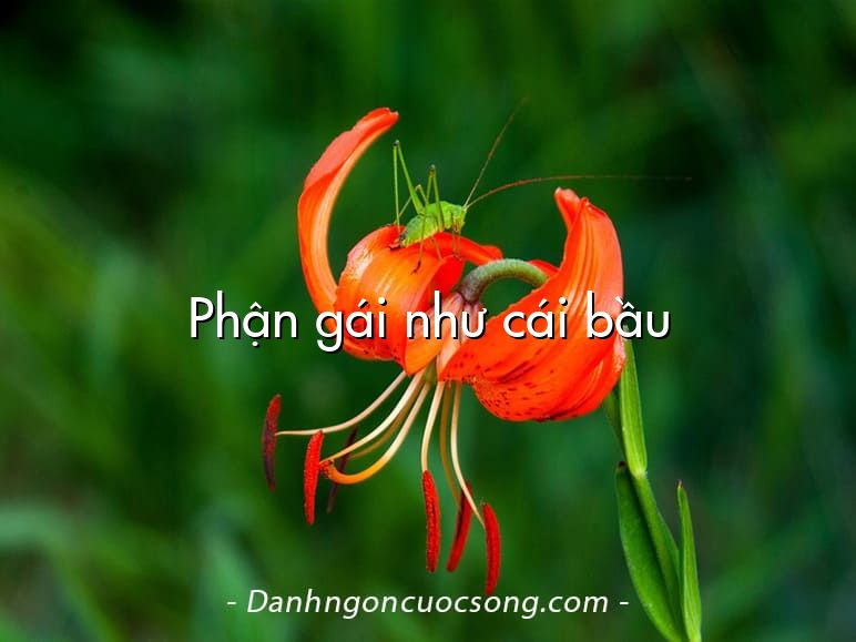 Phận gái như cái bầu