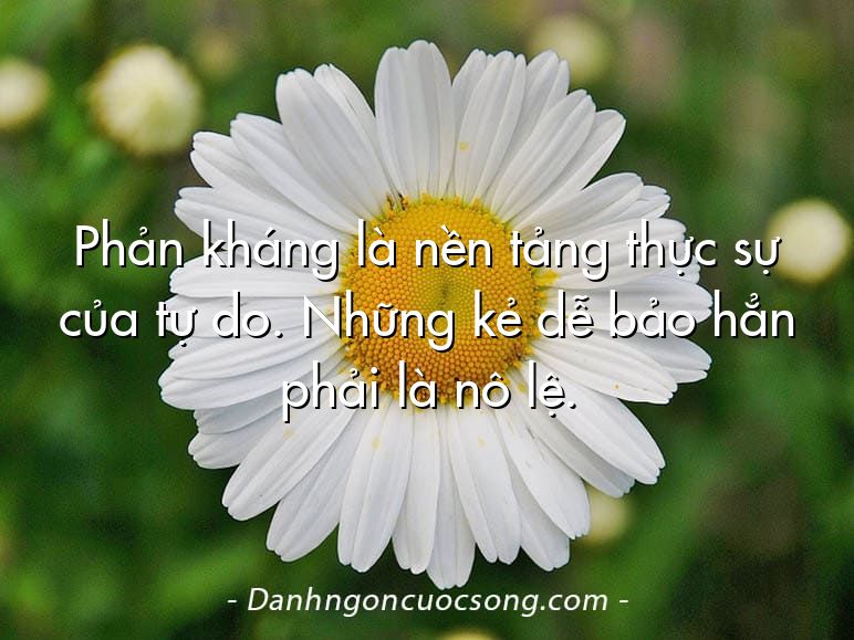 Phản kháng là nền tảng thực sự của tự do. Những kẻ dễ bảo hẳn phải là nô lệ.