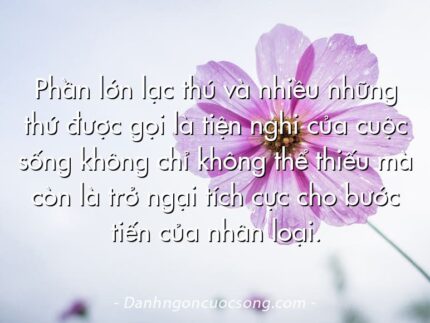 Phần lớn lạc thú và nhiều những thứ được gọi là tiện nghi của cuộc sống không chỉ không thể thiếu mà còn là trở ngại tích cực cho bước tiến của nhân loại.