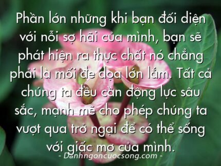 Phần lớn những khi bạn đối diện với nỗi sợ hãi của mình, bạn sẽ phát hiện ra thực chất nó chẳng phải là mối đe dọa lớn lắm. Tất cả chúng ta đều cần động lực sâu sắc, mạnh mẽ cho phép chúng ta vượt qua trở ngại để có thể sống với giấc mơ của mình.