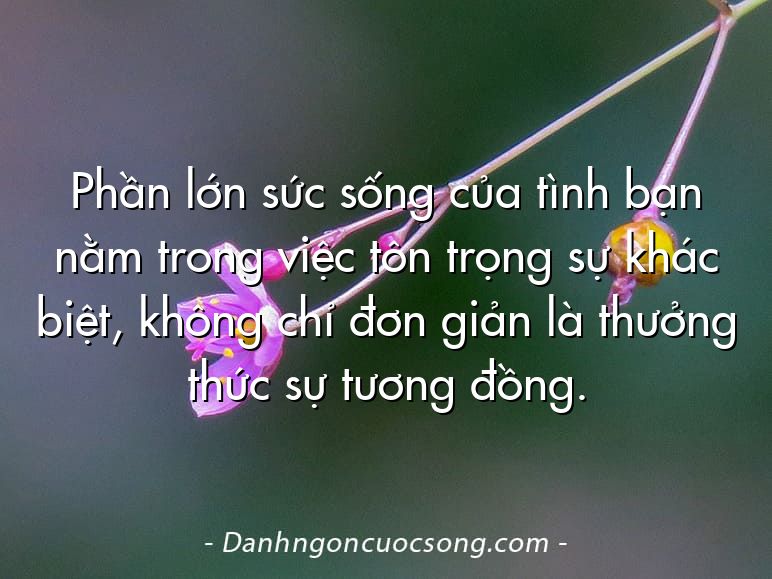 Phần lớn sức sống của tình bạn nằm trong việc tôn trọng sự khác biệt, không chỉ đơn giản là thưởng thức sự tương đồng.