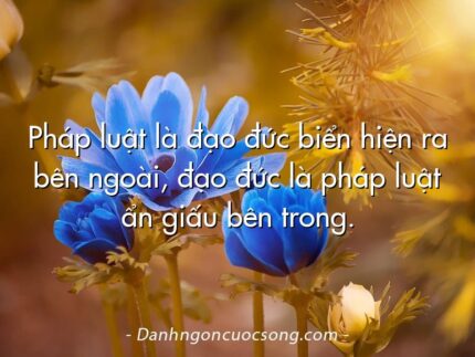 Pháp luật là đạo đức biển hiện ra bên ngoài, đạo đức là pháp luật ẩn giấu bên trong.