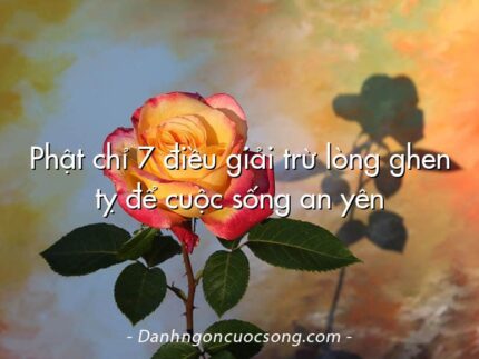 Phật chỉ 7 điều giải trừ lòng ghen tỵ để cuộc sống an yên