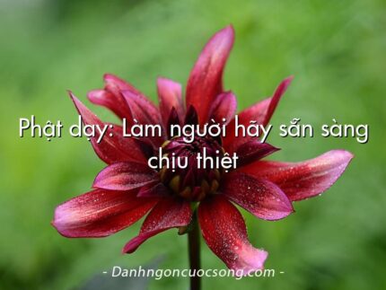 Phật dạy: Làm người hãy sẵn sàng chịu thiệt