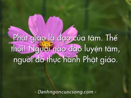 Phật giáo là đạo của tâm. Thế thôi! Người nào đào luyện tâm, người đó thực hành Phật giáo.