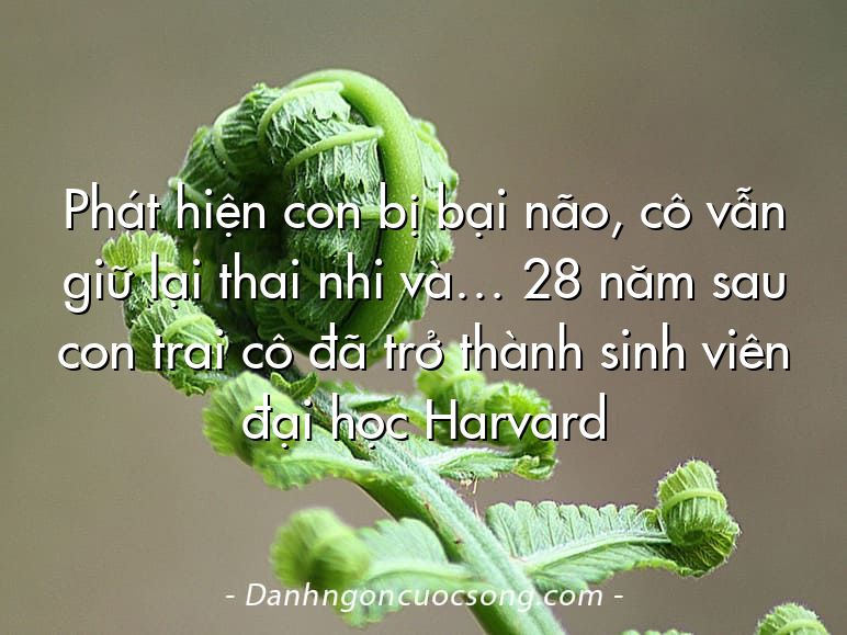 Phát hiện con bị bại não, cô vẫn giữ lại thai nhi và… 28 năm sau con trai cô đã trở thành sinh viên đại học Harvard