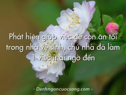 Phát hiện giúp việc để con ăn tối trong nhà vệ sinh, chủ nhà đã làm 1 việc ít ai ngờ đến