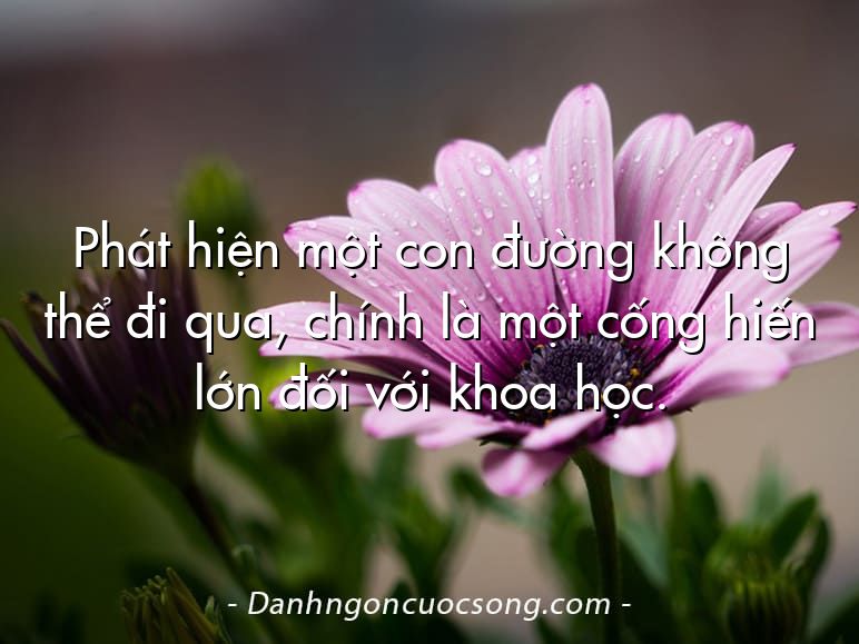 Phát hiện một con đường không thể đi qua, chính là một cống hiến lớn đối với khoa học.