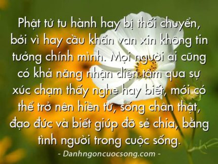 Phật tử tu hành hay bị thối chuyển, bởi vì hay cầu khẩn van xin không tin tưởng chính mình. Mọi người ai cũng có khả năng nhận diện tâm qua sự xúc chạm thấy nghe hay biết, mới có thể trở nên hiền từ, sống chân thật, đạo đức và biết giúp đỡ sẻ chia, bằng tình người trong cuộc sống.