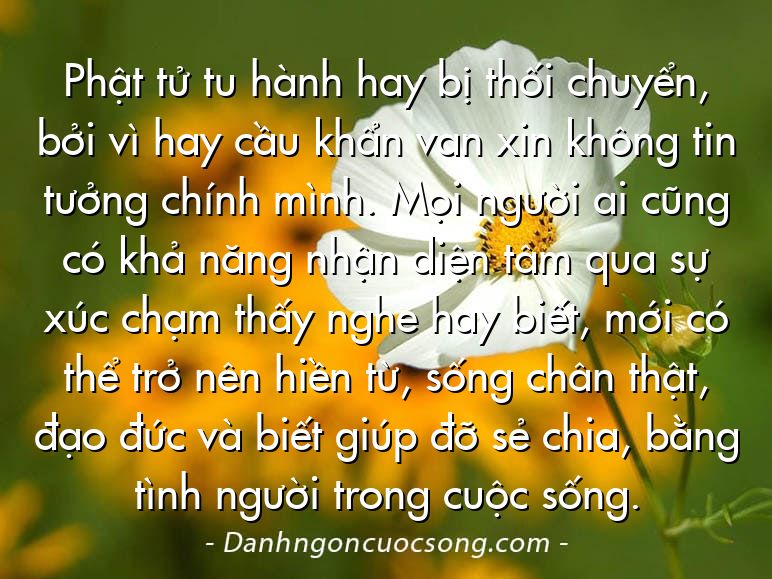 Phật tử tu hành hay bị thối chuyển, bởi vì hay cầu khẩn van xin không tin tưởng chính mình. Mọi người ai cũng có khả năng nhận diện tâm qua sự xúc chạm thấy nghe hay biết, mới có thể trở nên hiền từ, sống chân thật, đạo đức và biết giúp đỡ sẻ chia, bằng tình người trong cuộc sống.