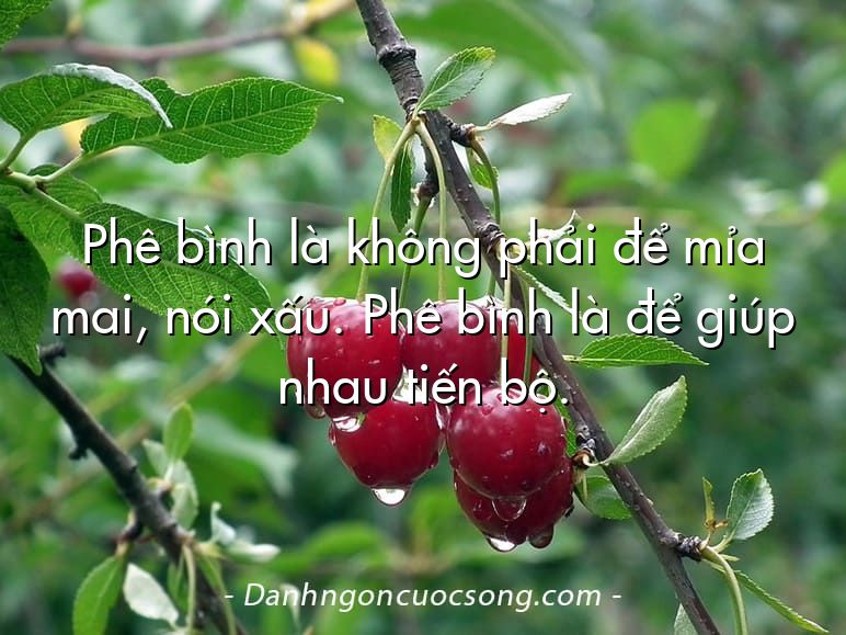 Phê bình là không phải để mỉa mai, nói xấu. Phê bình là để giúp nhau tiến bộ.