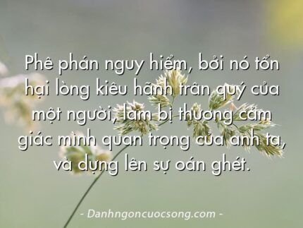 Phê phán nguy hiểm, bởi nó tổn hại lòng kiêu hãnh trân quý của một người, làm bị thương cảm giác mình quan trọng của anh ta, và dựng lên sự oán ghét.