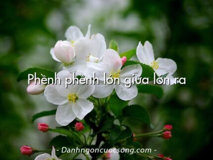 Phềnh phềnh lớn giữa lớn ra