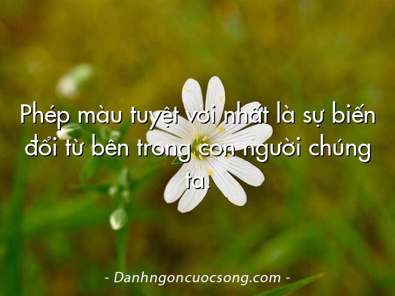 Phép màu tuyệt vời nhất là sự biến đổi từ bên trong con người chúng ta.