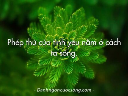 Phép thử của tình yêu nằm ở cách ta sống.