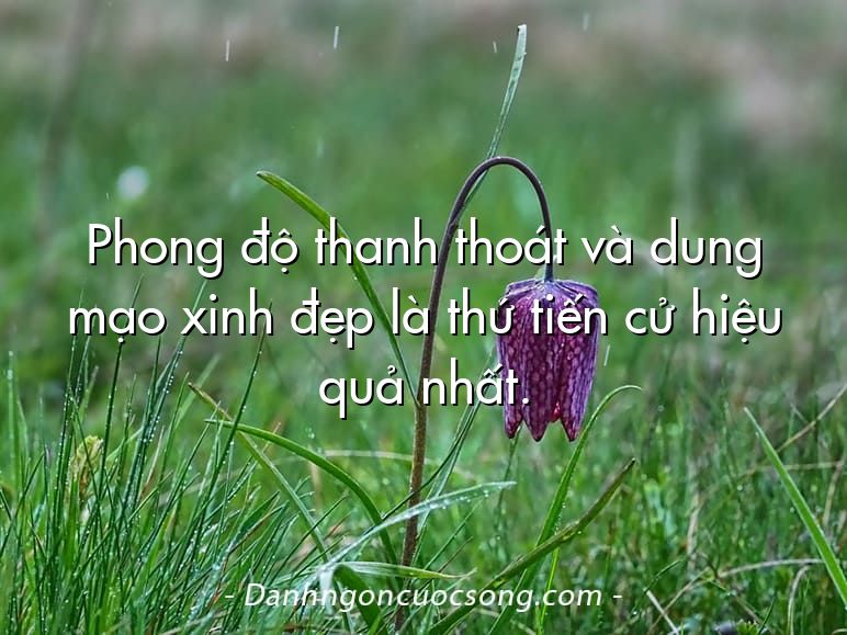 Phong độ thanh thoát và dung mạo xinh đẹp là thứ tiến cử hiệu quả nhất.