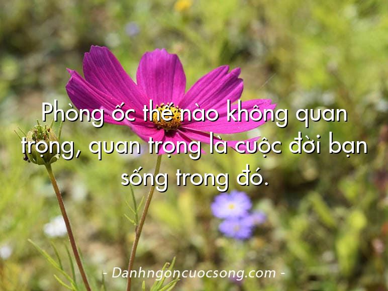 Phòng ốc thế nào không quan trọng, quan trọng là cuộc đời bạn sống trong đó.