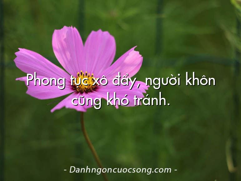 Phong tục xô đẩy, người khôn cũng khó tránh.