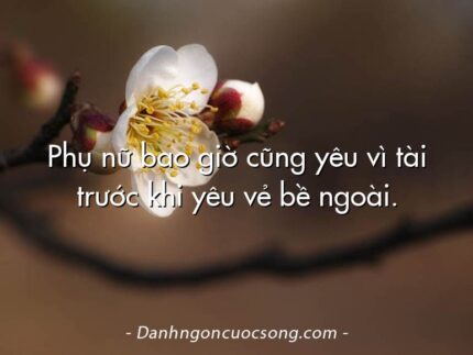 Phụ nữ bao giờ cũng yêu vì tài trước khi yêu vẻ bề ngoài.