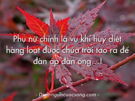 Phụ nữ chính là vụ khí huỷ diệt hàng loạt được chúa trời tạo ra để đàn áp đàn ông…!