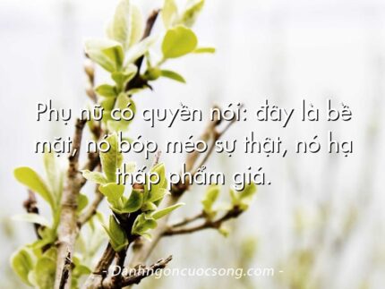 Phụ nữ có quyền nói: đây là bề mặt, nó bóp méo sự thật, nó hạ thấp phẩm giá.