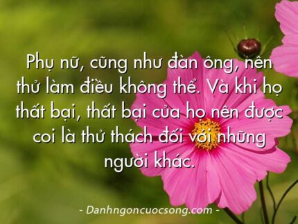 Phụ nữ, cũng như đàn ông, nên thử làm điều không thể. Và khi họ thất bại, thất bại của họ nên được coi là thử thách đối với những người khác.