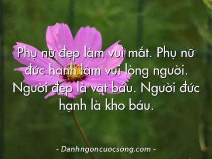 Phụ nữ đẹp làm vui mắt. Phụ nữ đức hạnh làm vui lòng người. Người đẹp là vật báu. Người đức hạnh là kho báu.